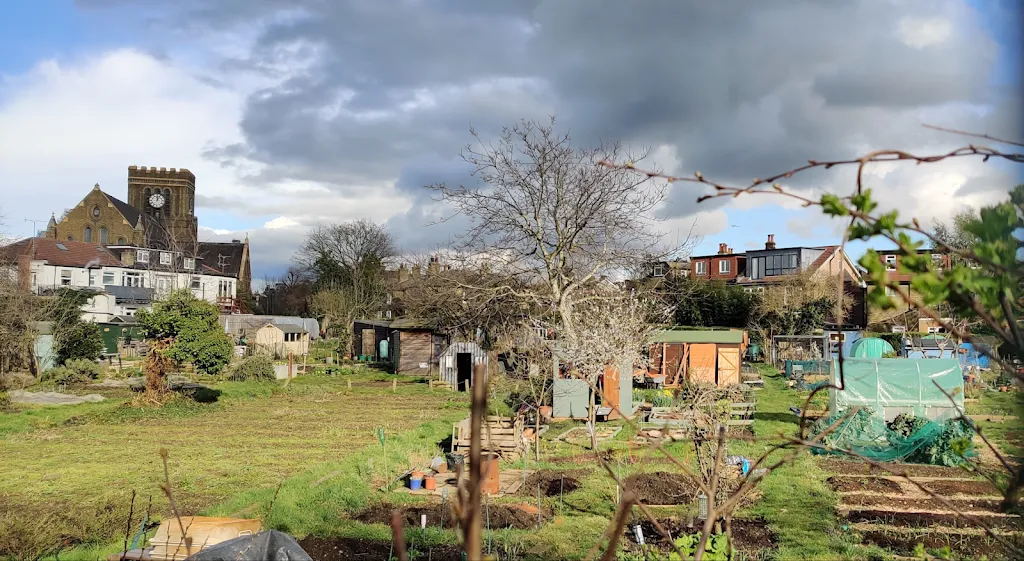 Northfield Allotments