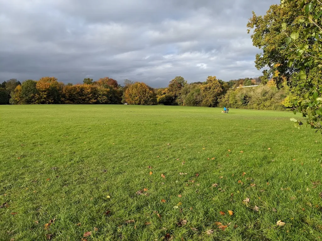 Oaks Park