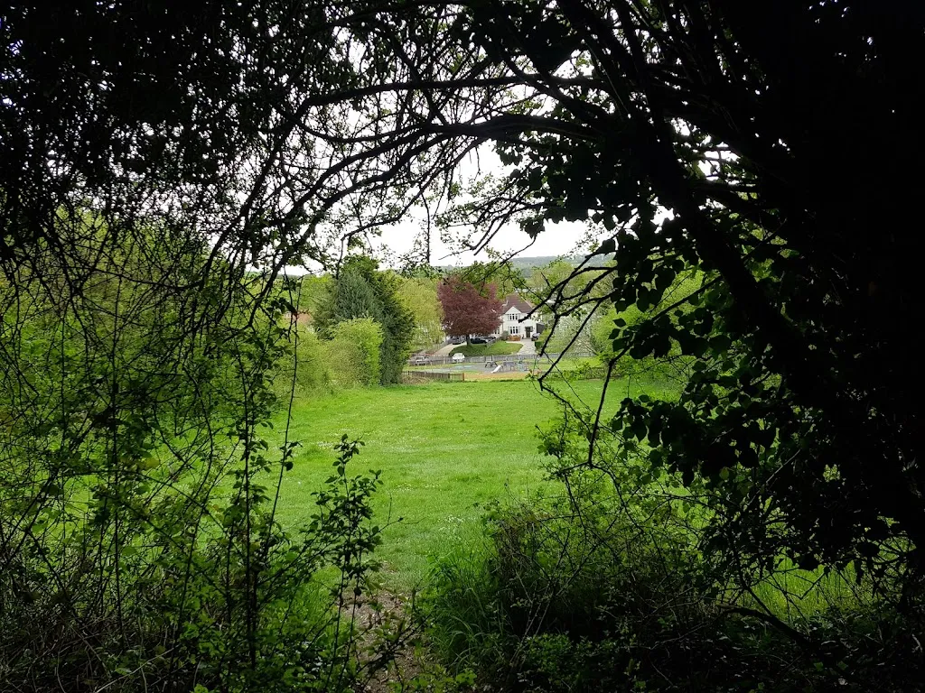 Old Hill Common (part of High Elms)