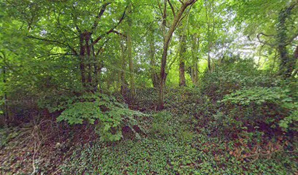 Orchid Bank