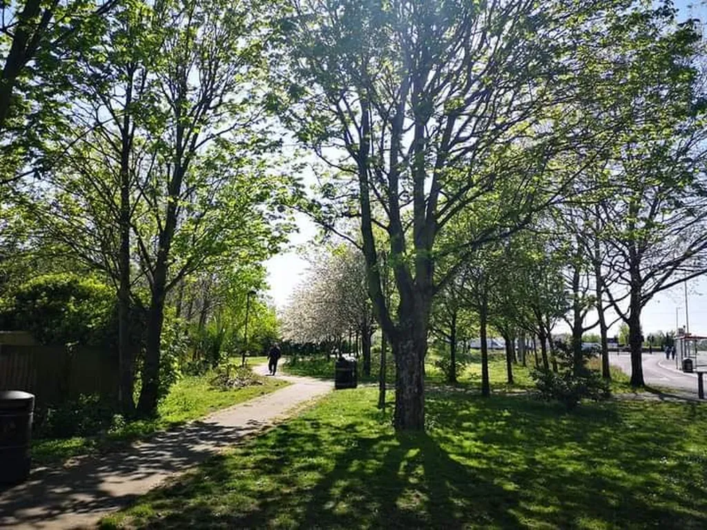 Orient Way Pocket Park