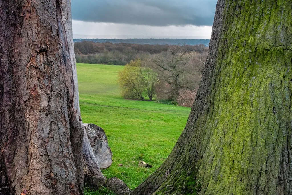Oxleas Wood Car Park