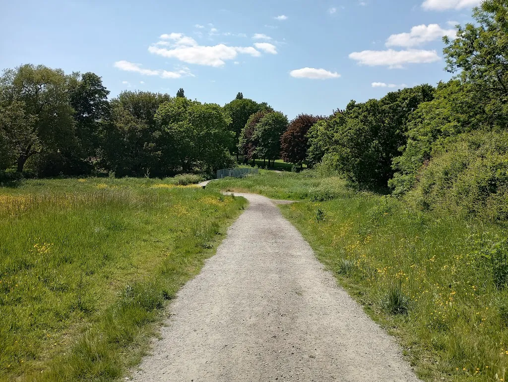 Pages Wood