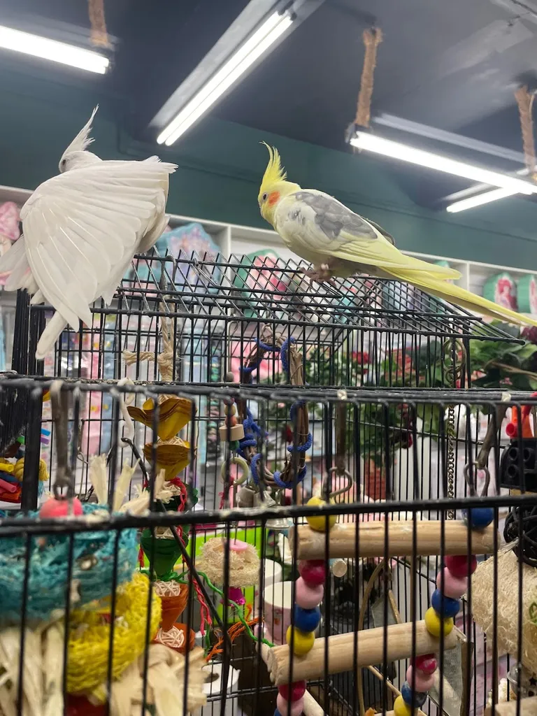 Paradise Bird Shop