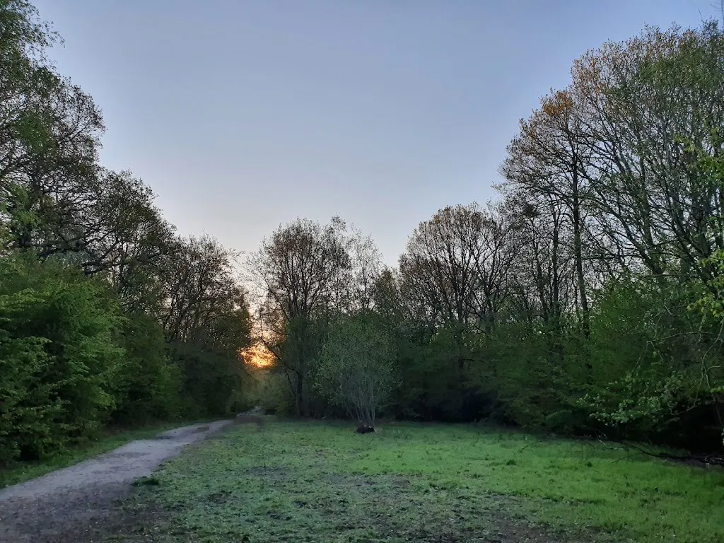 Park Wood