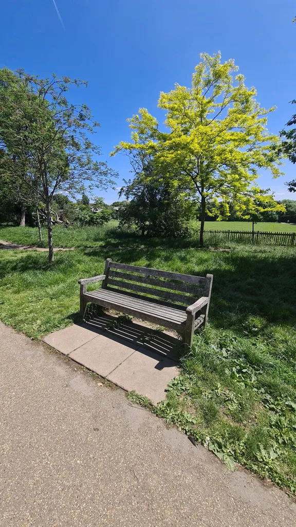 Parliament Hill Fields