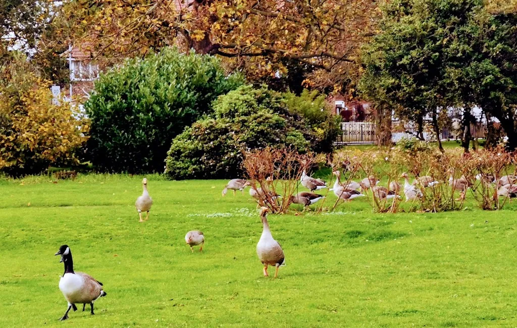 Parsloes Park Lake