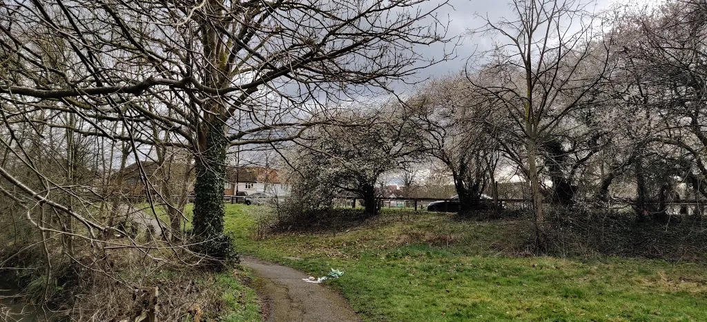 Perivale east meadow