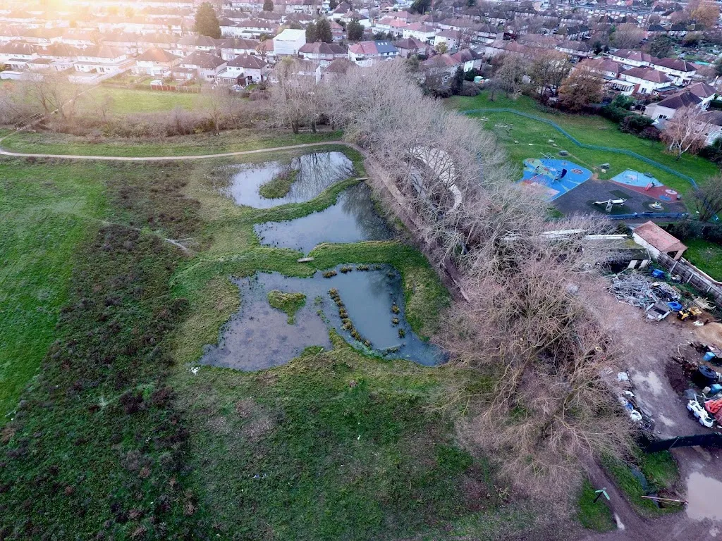Perivale Park Ponds