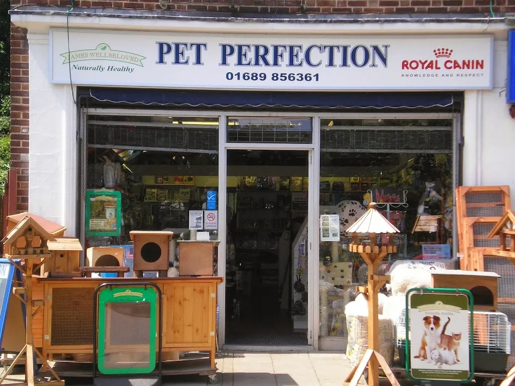 Pet Perfection - Orpington