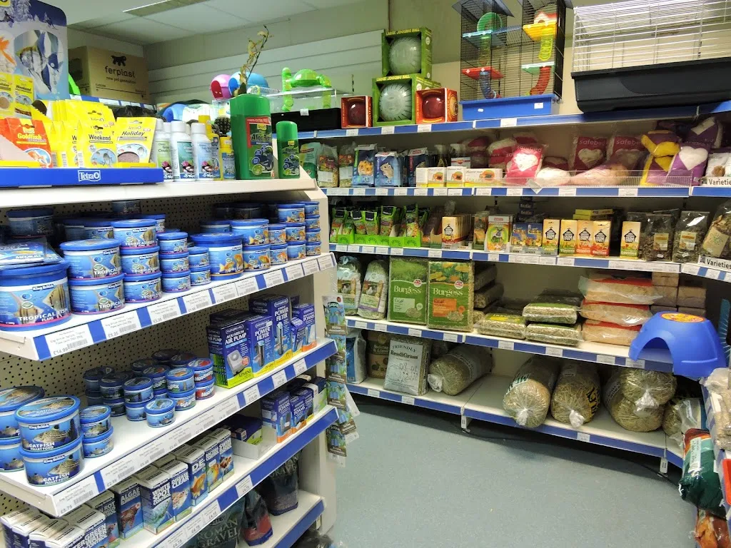 Pet Perfection - Petts Wood