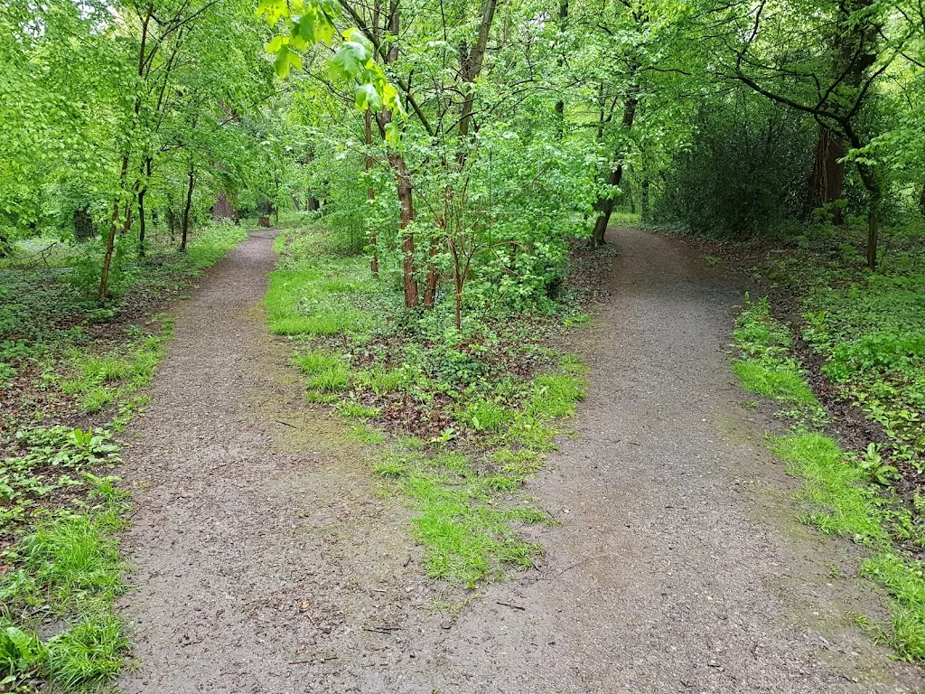 Petersham Common