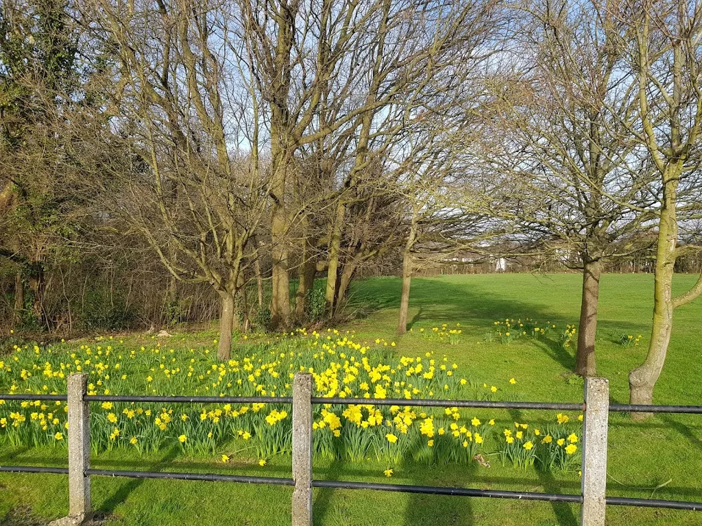 Pickhurst Green