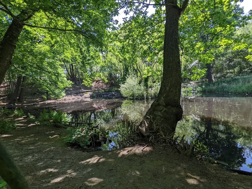 Pine Pond