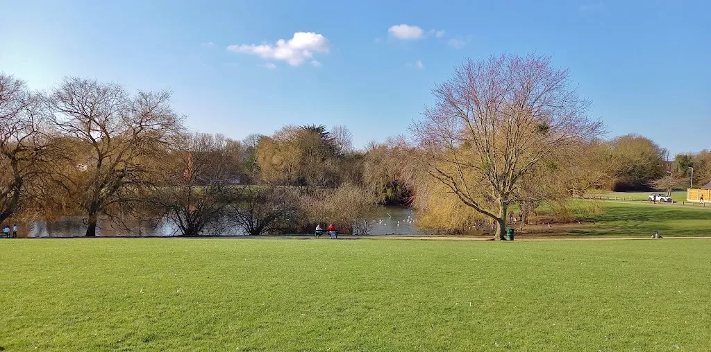 Platford Swan Pond