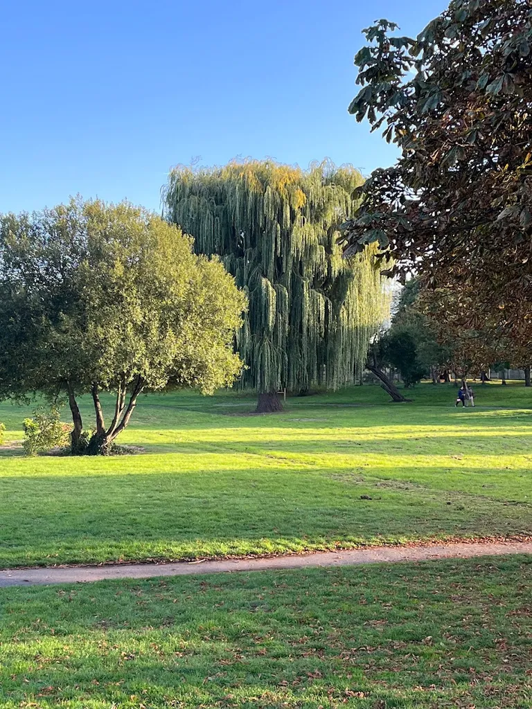 Pondfield Park