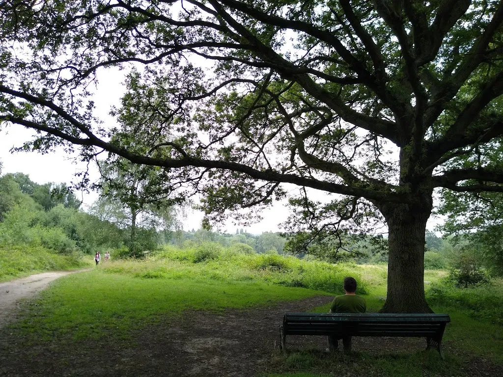 Poors Field