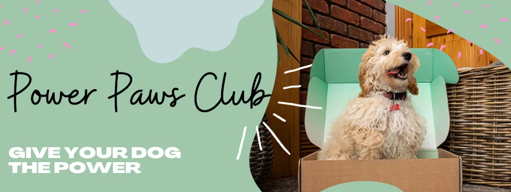 Power Paws Club