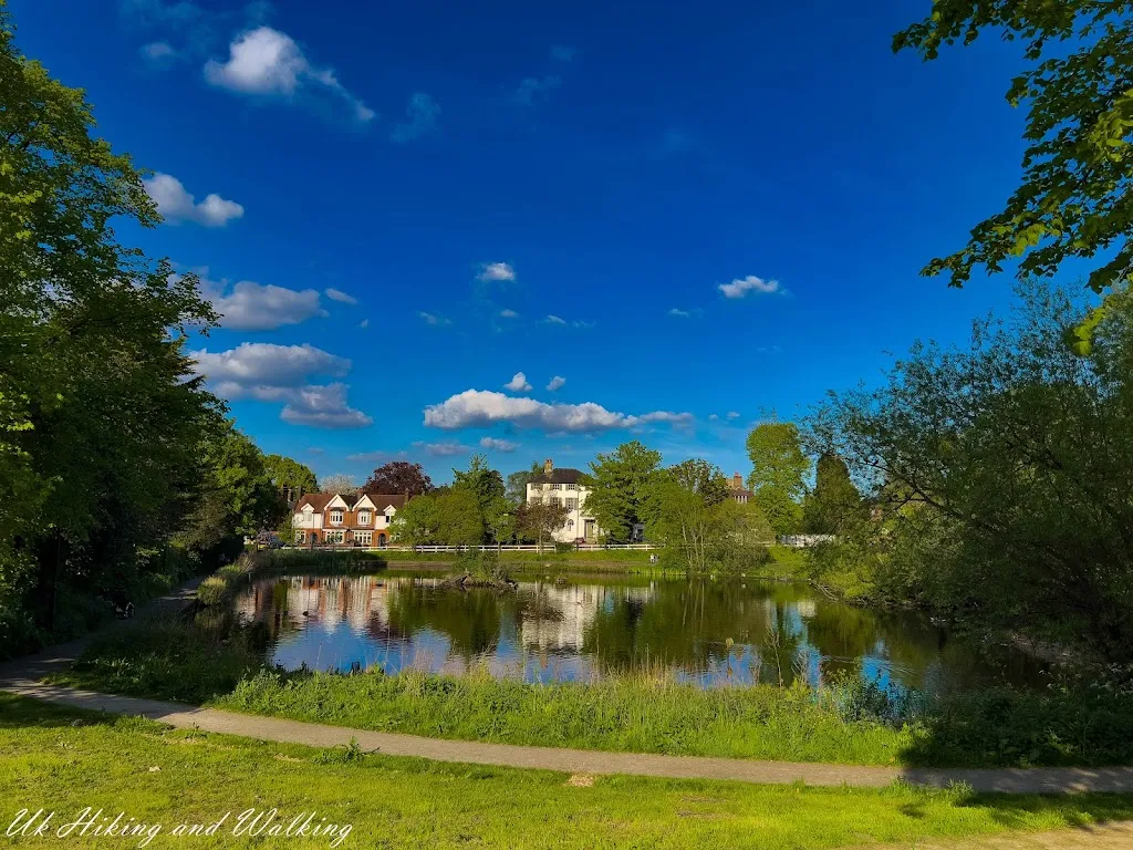 Prickend Pond - Chislehurst Commons