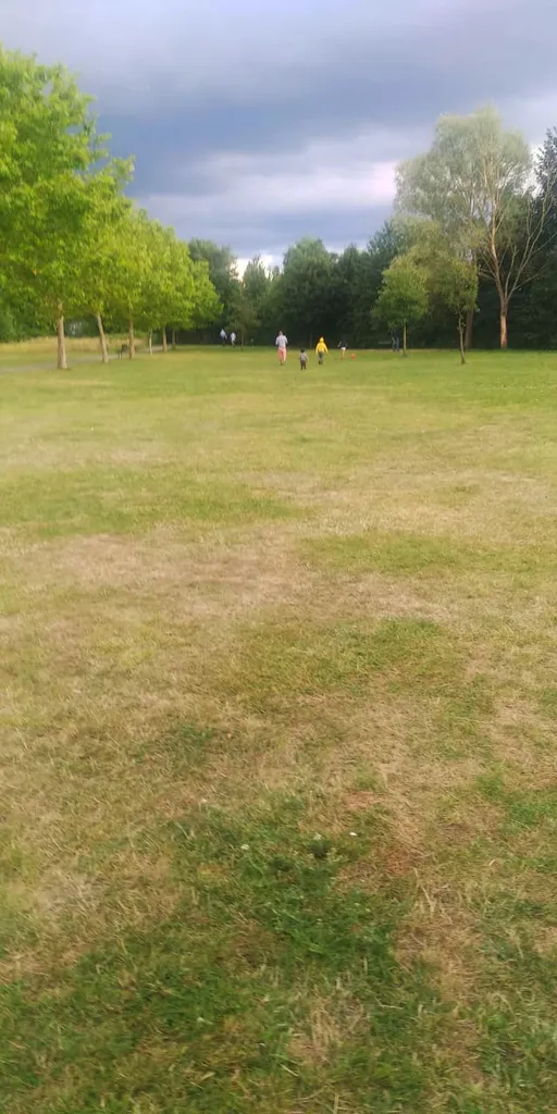Primrose Park