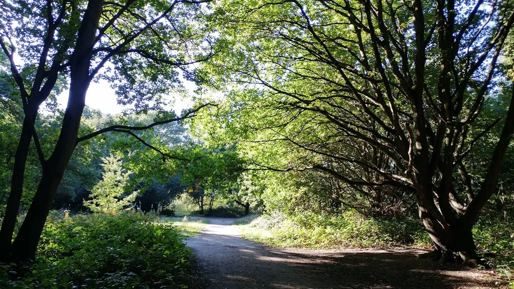 Putney Heath