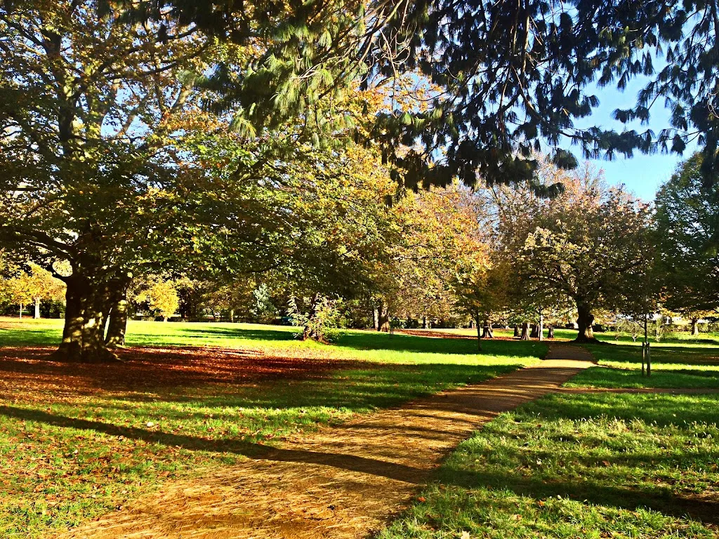 Putt In The Park Acton