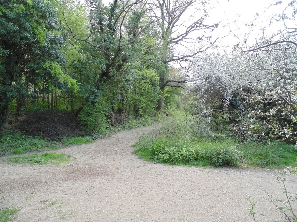 Raeburn Open Space