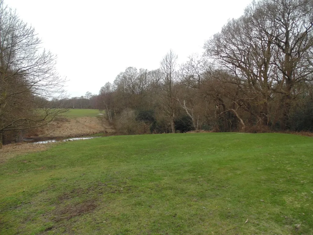 Ravine Pond