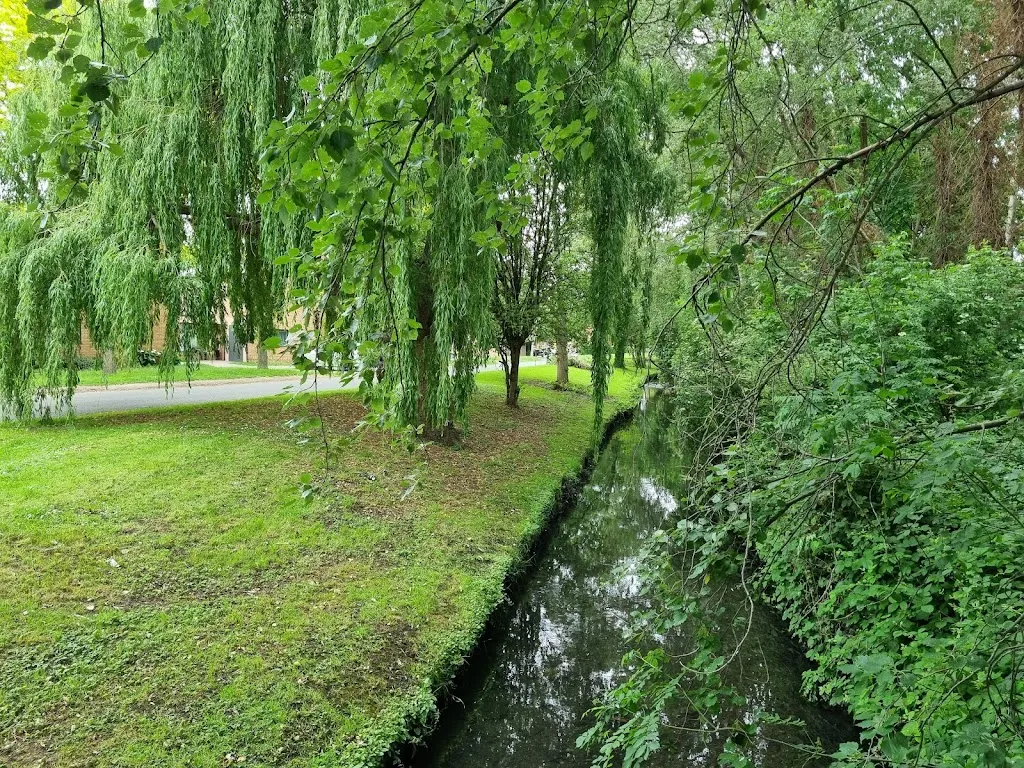 Richmond Green