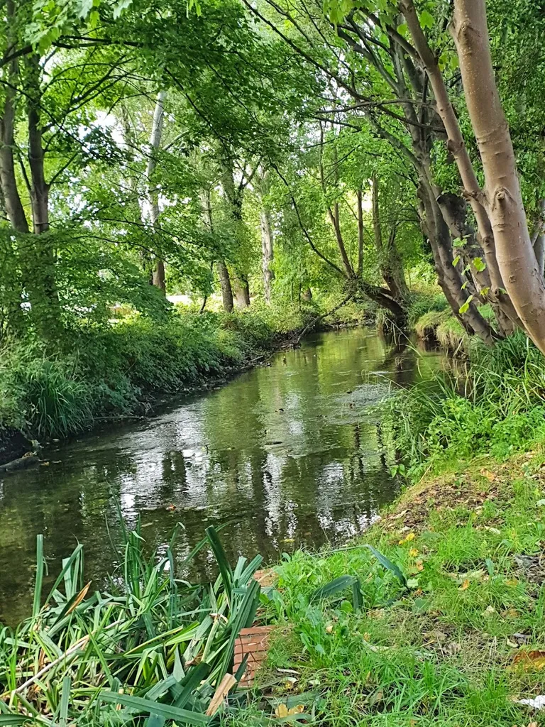 River Wandle Trail Start
