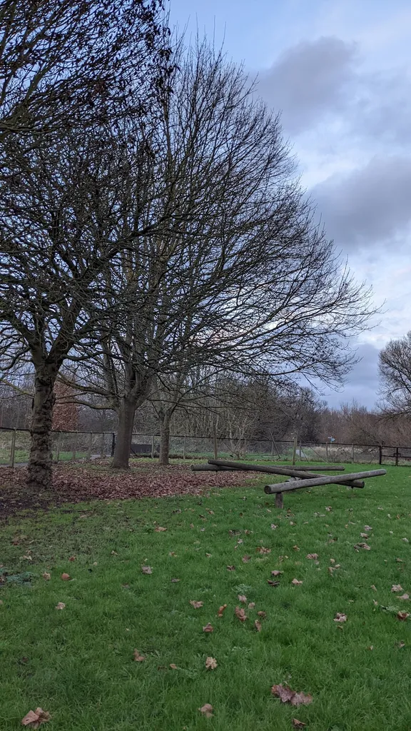 Roding Valley Park