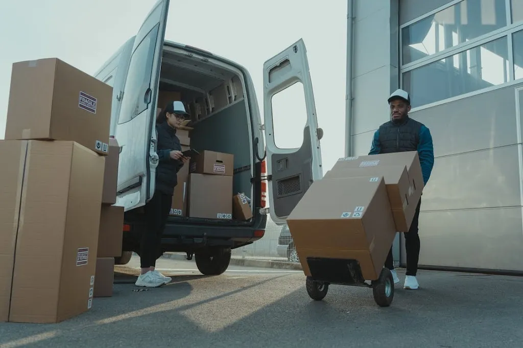 Roko Removals