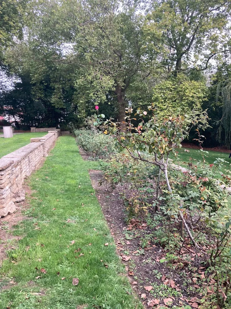 Rose Garden