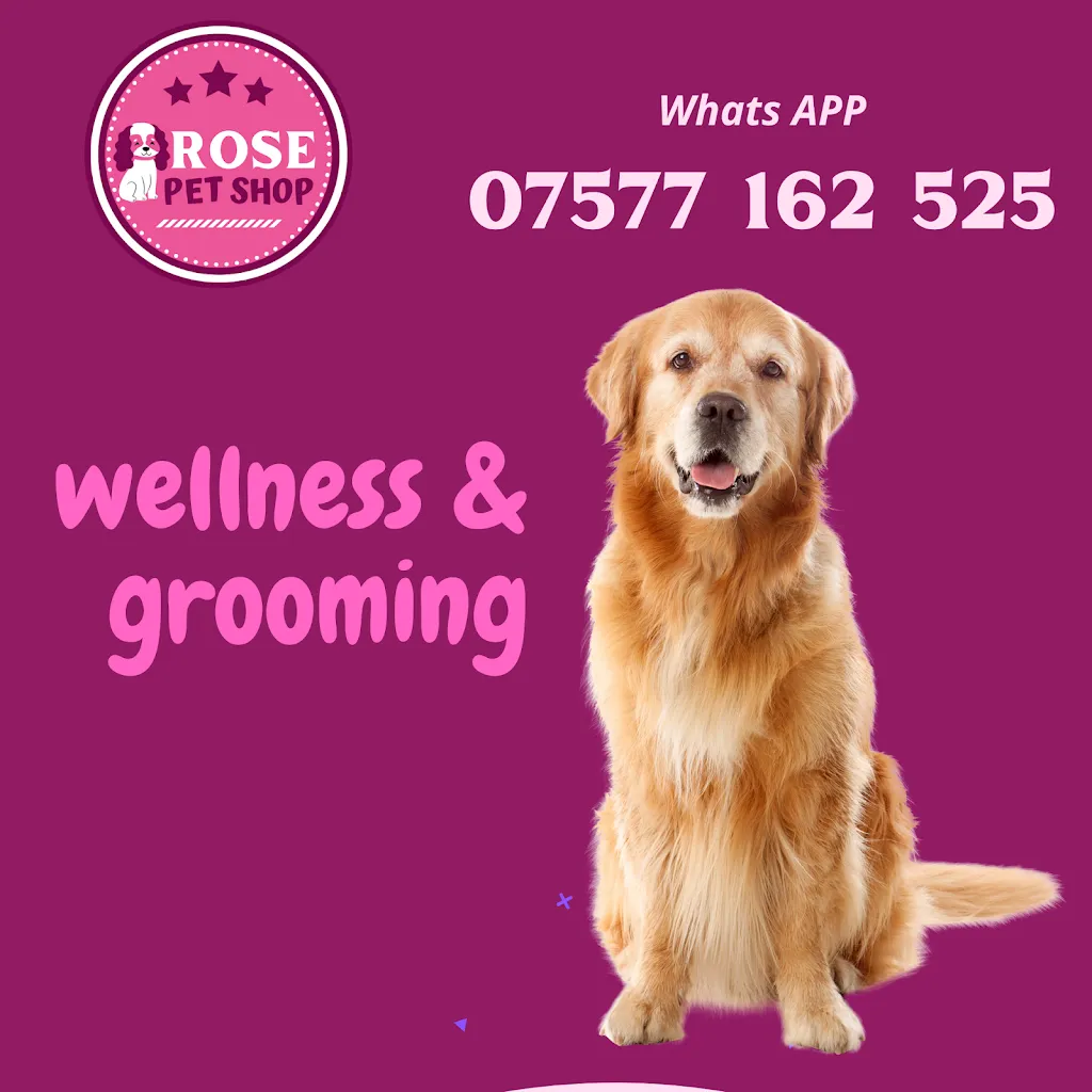 Rose Pet Shop UK