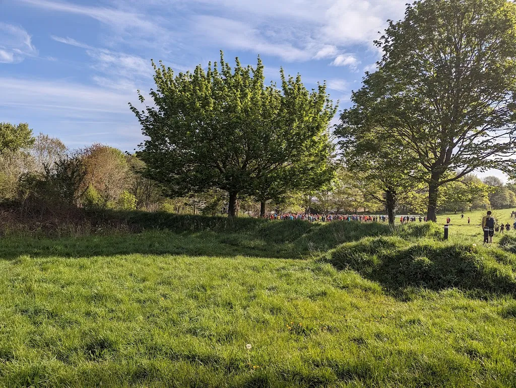 Round Shaw Downs LNR