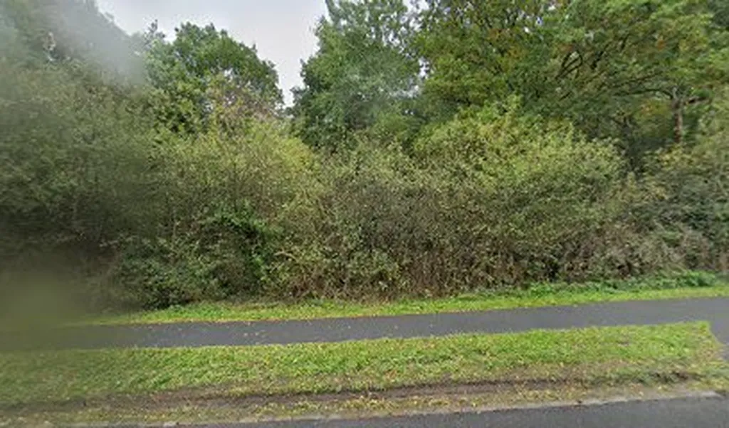 Rowley Green Common