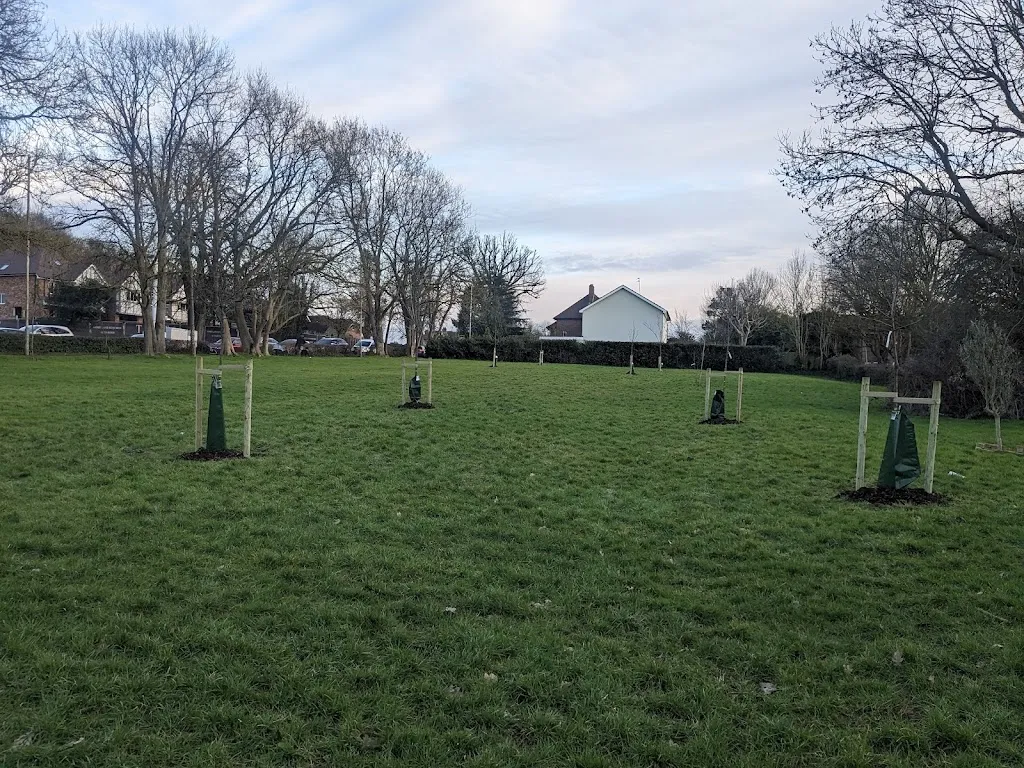 Ruislip Common