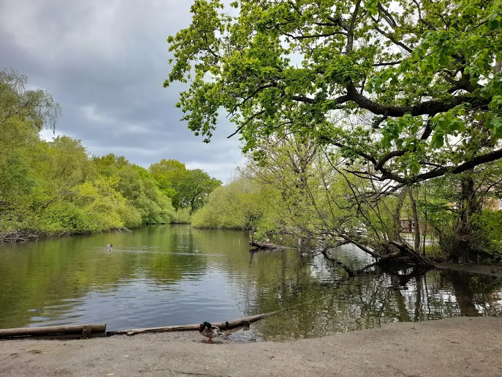 Rush Pond