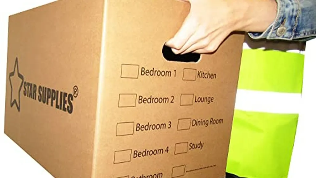 Safe Removal Services