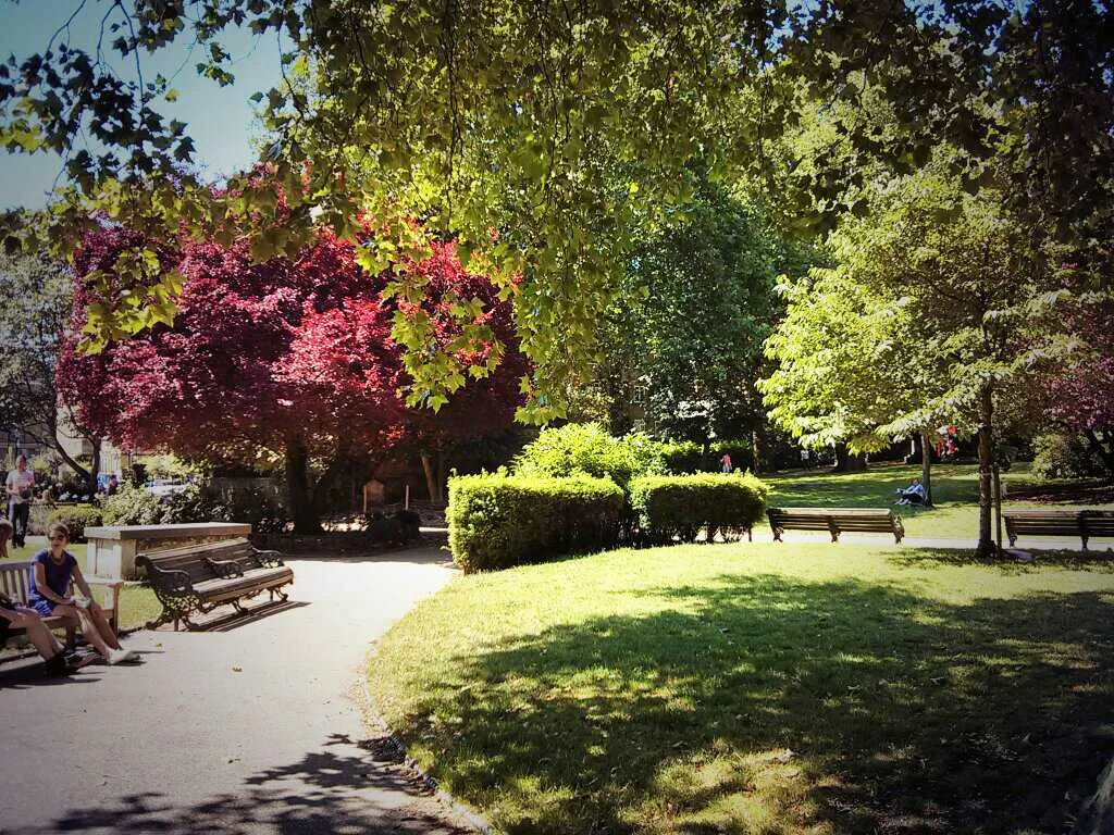 Saint Mary's Church Gardens
