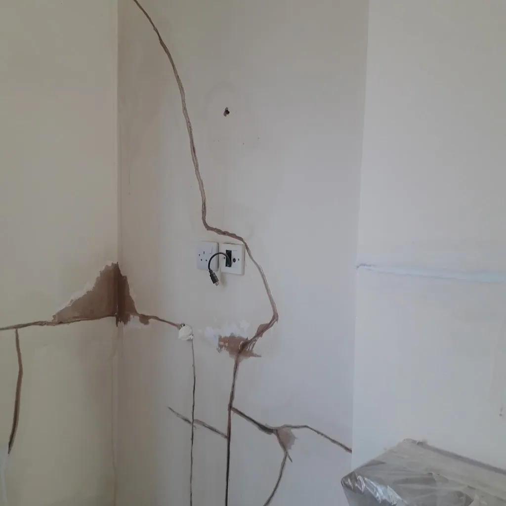 Salvy Painting Contractors