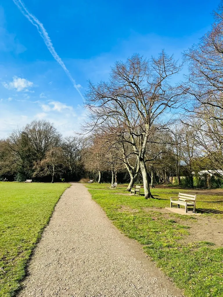 Sheen Common