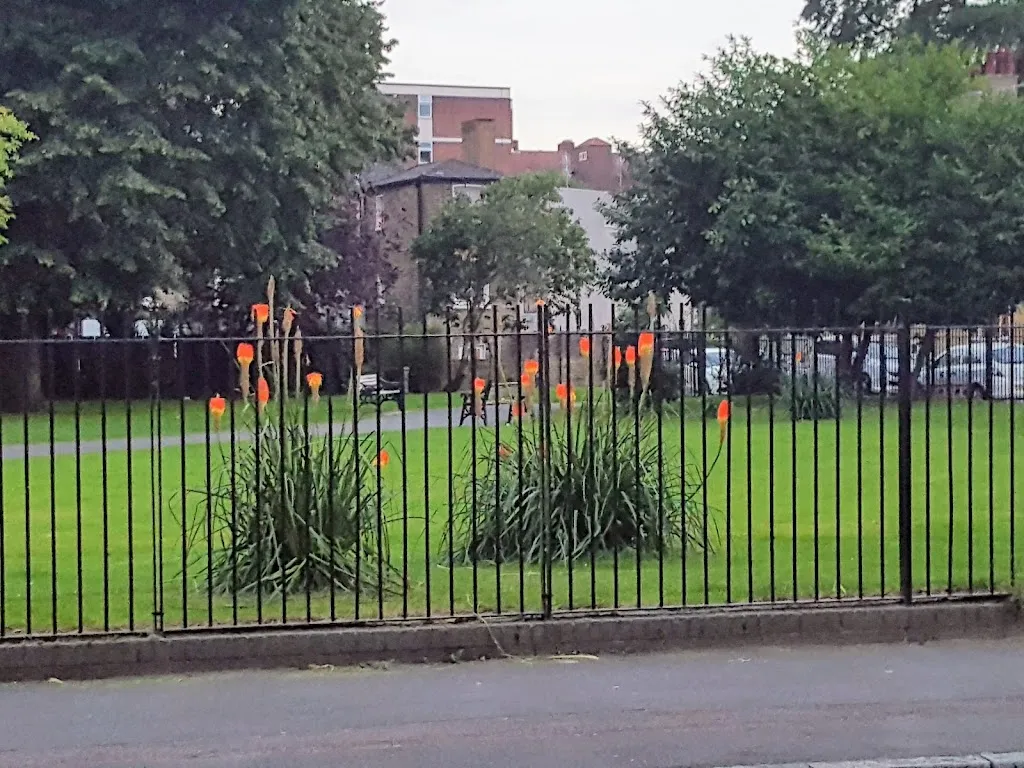 Shore Gardens