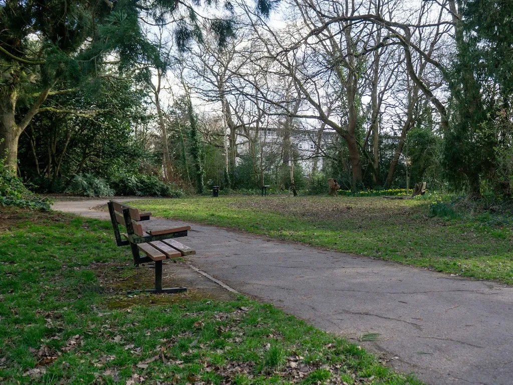 South Hill Wood