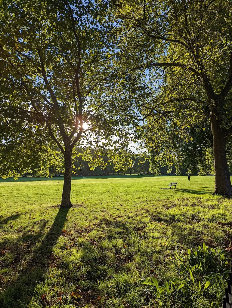 South Millfields Recreation Ground