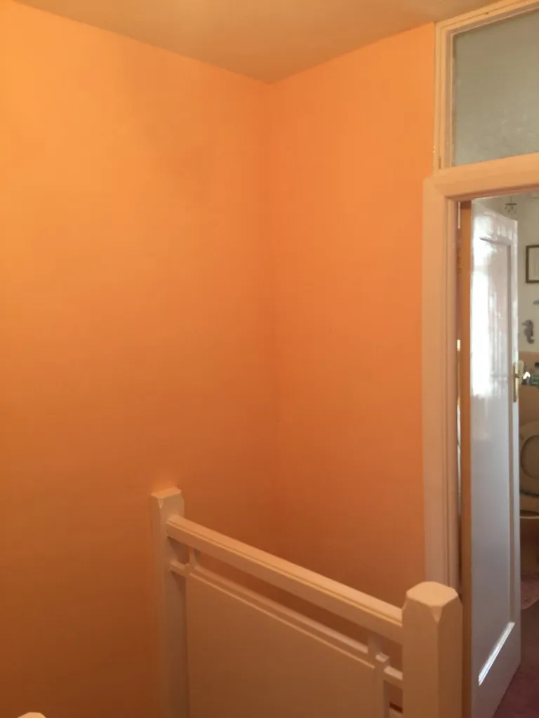 Spectrum Paint Ltd