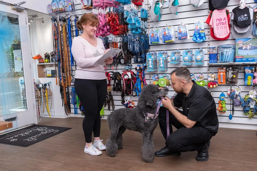 Spoilt Rotten Dog Groomer & Boutique Pinner