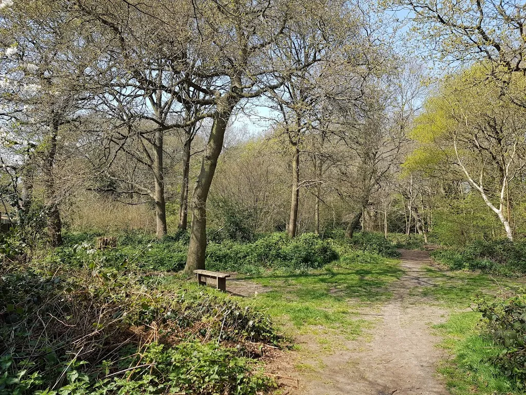 Spring Park Wood