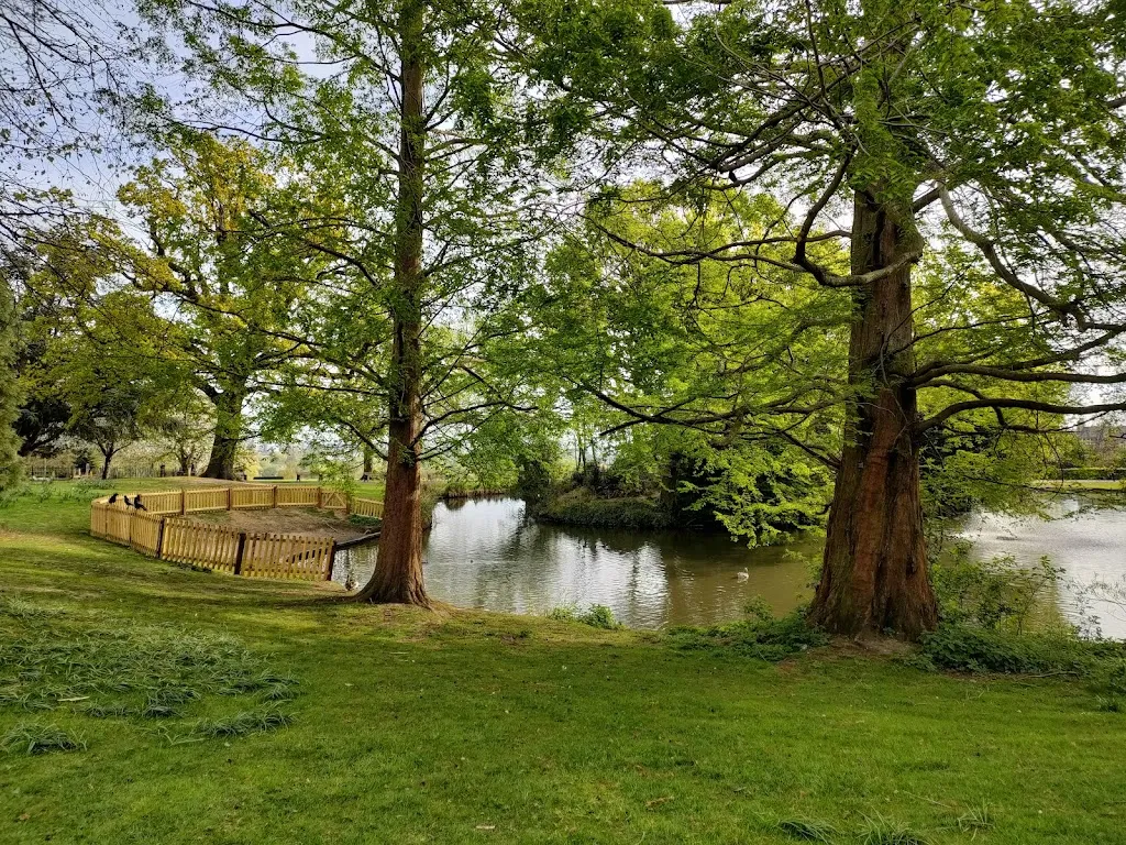 Springfield Park Pond