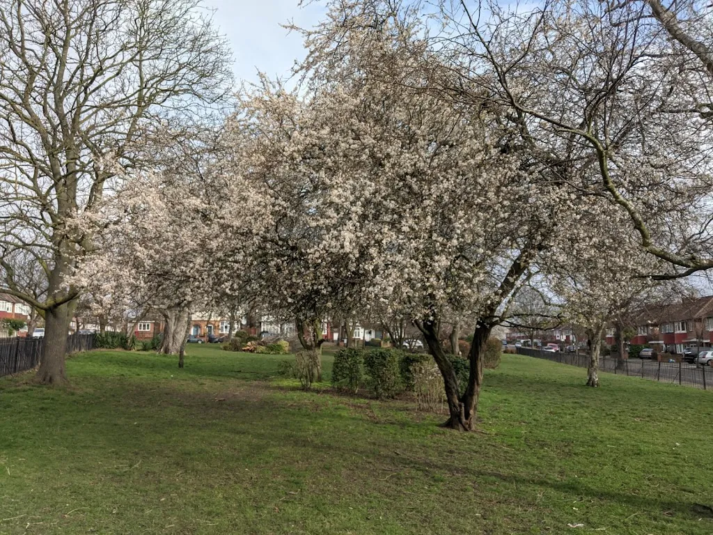 St Dunstans Gardens
